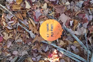 207 Sodom Rd, Norway, ME 04268 - Photo 20