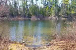 594 River Road Rd, Windham, ME 04062 - Photo 1