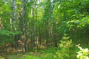 594 River Road Rd, Windham, ME 04062 - Photo 26