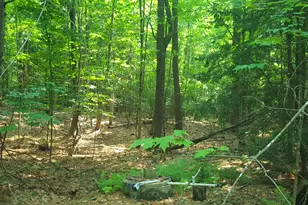 594 River Road Rd, Windham, ME 04062 - Photo 28