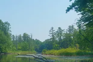 594 River Road Rd, Windham, ME 04062 - Photo 34