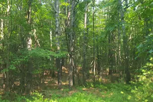 594 River Road Rd, Windham, ME 04062 - Photo 26