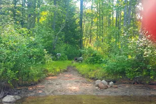 594 River Road Rd, Windham, ME 04062 - Photo 12