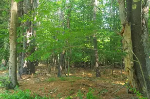 594 River Road Rd, Windham, ME 04062 - Photo 24