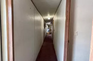 163 Blacks Woods Rd, Cherryfield, ME 04622 - Photo 10