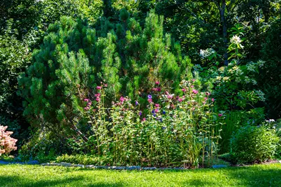 21 Penobscot Avenue, Camden, ME 04843 - Photo 46