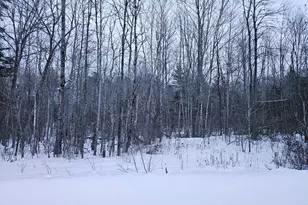 Lot 14-2 3 Perkins Rd, Burnham, ME 04922 - Photo 1