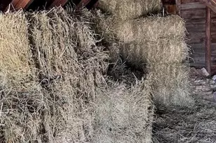 37 Quaker Ridge Rd, Casco, ME 04015 - Photo 40