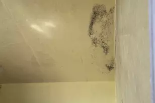 29 Broadway St, Machias, ME 04654 - Photo 20