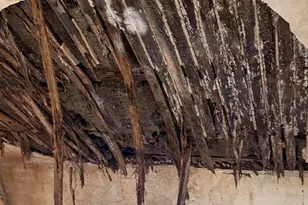 29 Broadway St, Machias, ME 04654 - Photo 26