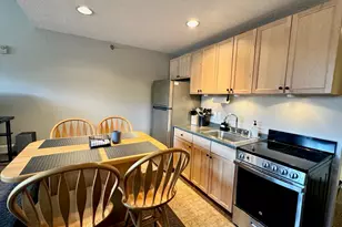 8 Fall Line Dr, Newry, ME 04261 - Photo 10