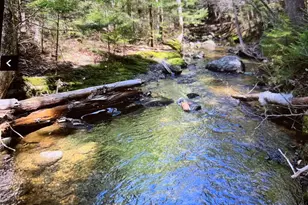 291 Molyneaux Rd, Camden, ME 04843 - Photo 6