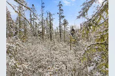 0 Bay Road, Lamoine, ME 04605 - Photo 20