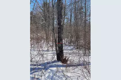 104 Langdon Road, Richmond, ME 04357 - Photo 6