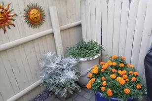 258 Vaughan St, Portland, ME 04102 - Photo 40