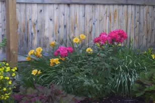 33 Elmwood Ave, Caribou, ME 04736 - Photo 6