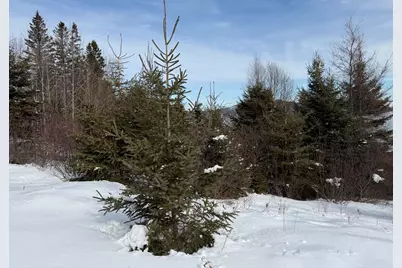 M6 L60-65 Gravel Road, Robbinston, ME 04671 - Photo 10