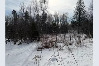 M6 L60-65 Gravel Road, Robbinston, ME 04671 - Photo 16