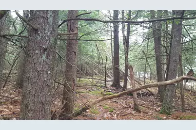 53 Johnson Road, Windham, ME 04062 - Photo 10