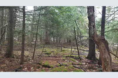 53 Johnson Road, Windham, ME 04062 - Photo 2