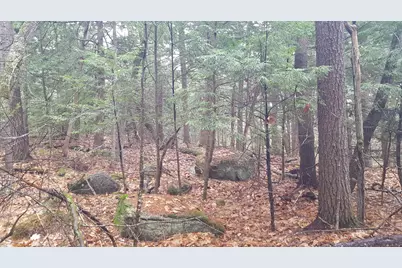 53 Johnson Road, Windham, ME 04062 - Photo 4