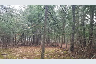 53 Johnson Road, Windham, ME 04062 - Photo 14