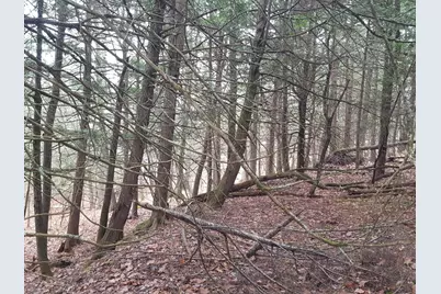 53B Johnson Road, Windham, ME 04062 - Photo 34