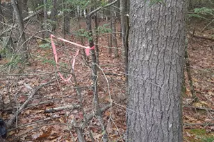 53B Johnson Rd, Windham, ME 04062 - Photo 28