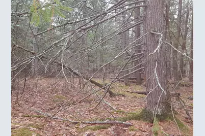 53 Johnson Road, Windham, ME 04062 - Photo 40