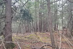 53B Johnson Rd, Windham, ME 04062 - Photo 30