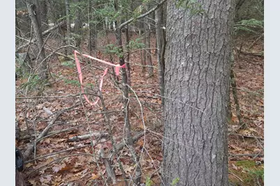 53B Johnson Road, Windham, ME 04062 - Photo 26