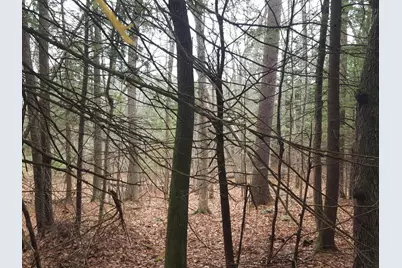 53 Johnson Road, Windham, ME 04062 - Photo 48