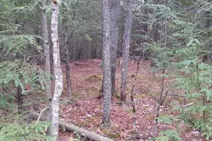 53B Johnson Rd, Windham, ME 04062 - Photo 24