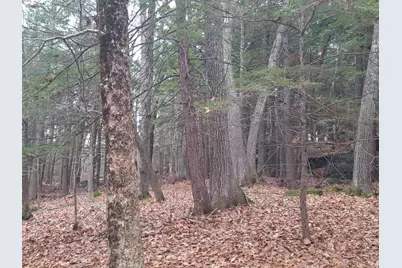 53 Johnson Road, Windham, ME 04062 - Photo 54