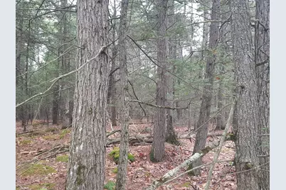 53 Johnson Road, Windham, ME 04062 - Photo 38