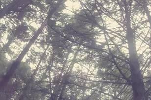 53B Johnson Rd, Windham, ME 04062 - Photo 44