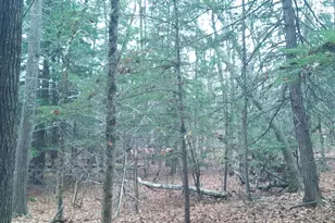 53B Johnson Rd, Windham, ME 04062 - Photo 40