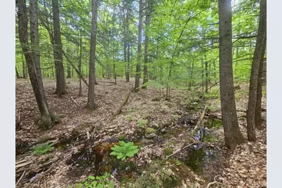 M10L44 Mountain View Road, Fryeburg, ME 04037 - Photo 12