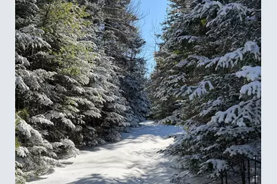 M5 Lot 1&3 East Road, Greenville, ME 04441 - Photo 12