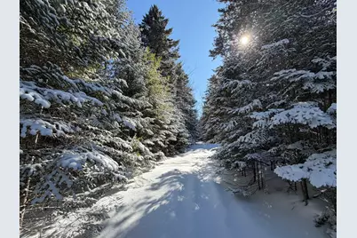 M5 Lot 1&3 East Road, Greenville, ME 04441 - Photo 4