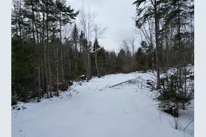 Lot 1 Moores Road, Springfield, ME 04487 - Photo 4