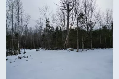 Lot 1 Moores Road, Springfield, ME 04487 - Photo 10