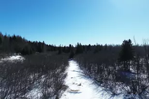 170 Grampys Way, Monticello, ME 04760 - Photo 50