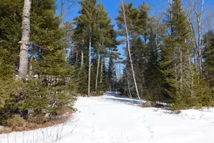 638 Greenfield Rd, Greenbush, ME 04418 - Photo 1