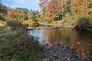 14 McNeil Rd, Sumner, ME 04292 - Photo 4