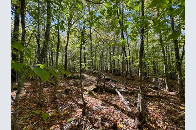 Lot 2 Loop Road, Enfield, ME 04493 - Photo 14