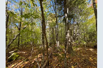 Lot 2 Loop Road, Enfield, ME 04493 - Photo 12