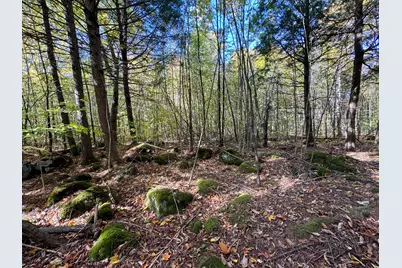 Lot 2 Loop Road, Enfield, ME 04493 - Photo 22