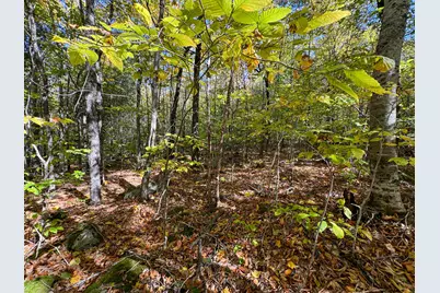 Lot 2 Loop Road, Enfield, ME 04493 - Photo 16