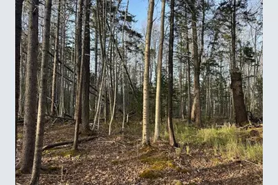 0 Harbor Road, Camden, ME 04843 - Photo 8